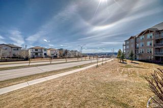 Photo 31: 323 207 Sunset Drive: Cochrane Apartment for sale : MLS®# A2122629