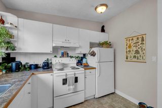 Photo 14: 8910 36 Avenue NW in Calgary: Bowness Full Duplex for sale : MLS®# A2081132