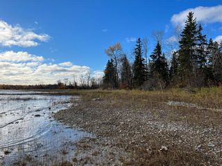 Photo 35: 0 #20 Highway North in Winnipegosis: R31 Residential for sale (R31 - Parkland)  : MLS®# 202226181