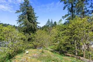 Photo 25: 327 Wray Ave in Saanich: SW West Saanich House for sale (Saanich West)  : MLS®# 873436