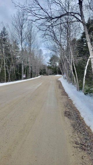Photo 4: lot 48 Otter Point Road in East Chester: 405-Lunenburg County Vacant Land for sale (South Shore)  : MLS®# 202303763