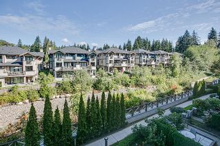 Photo 16: 408 3600 WINDCREST Drive in North Vancouver: Roche Point Condo for sale in "WINDSONG AT RAVENWOODS" : MLS®# V969491