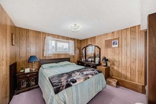 Photo 28: 3816 Dover Ridge Drive SE in Calgary: Dover Detached for sale : MLS®# A2124560