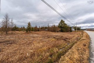 Photo 11: lots Cape Saint Marys Road in Cape St Marys: Digby County Vacant Land for sale (Annapolis Valley)  : MLS®# 202002560