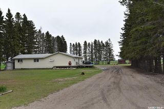 Photo 4: Wallington Acreage in Torch River: Residential for sale (Torch River Rm No. 488)  : MLS®# SK926295