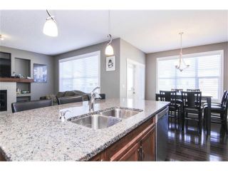 Photo 19: 659 COPPERPOND Circle SE in Calgary: Copperfield House for sale : MLS®# C4001282