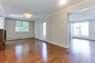 Photo 6: 407 522 MOBERLY Road in Vancouver: False Creek Condo for sale (Vancouver West)  : MLS®# R2816913