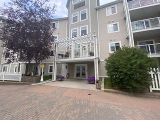 Photo 17: 410 290 Shawville Way SE in Calgary: Shawnessy Apartment for sale : MLS®# A1138417