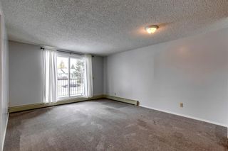 Photo 4: 110 280 Banister Drive: Okotoks Apartment for sale : MLS®# A2128088