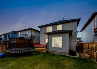 Photo 45: 526 CHAPARRAL Drive SE in Calgary: Chaparral Detached for sale : MLS®# A1216162