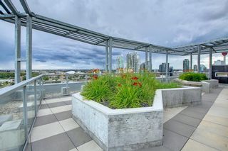 Photo 26: 1001 624 8 Avenue SE in Calgary: Downtown East Village Apartment for sale : MLS®# A1245760