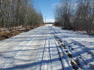 Photo 4: 50317 Rge Road 10: Rural Parkland County Rural Land/Vacant Lot for sale : MLS®# E4229985