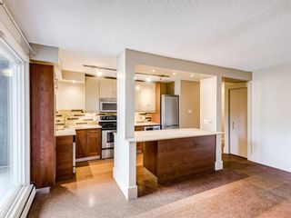 Photo 6: 202 1603 26 Avenue SW in Calgary: South Calgary Apartment for sale : MLS®# A1100163
