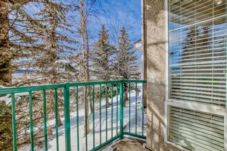 Photo 18: 101 15204 Bannister Road SE in Calgary: Midnapore Apartment for sale : MLS®# A2018133