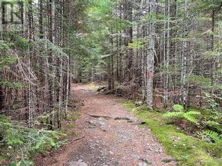Photo 12: 2 Campsite Cluster in Lee Settlement: House for sale : MLS®# NB078811