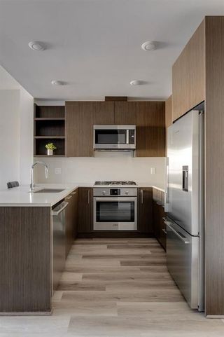 Photo 8: 318 88 9 Street NE in Calgary: Bridgeland/Riverside Apartment for sale : MLS®# A2123014