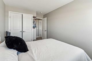 Photo 31: 236 Red Sky Terrace NE in Calgary: Redstone Detached for sale : MLS®# A2125780