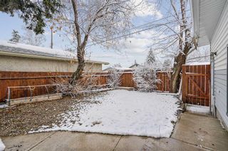 Photo 30: 4407 46 Avenue SW in Calgary: Glamorgan Detached for sale : MLS®# A2126296