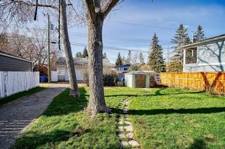 Photo 34: 8631 48 Avenue NW in Calgary: Bowness Detached for sale : MLS®# A2130721