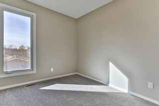 Photo 18: 47 TEMPLEGREEN Place NE in Calgary: Temple Detached for sale : MLS®# C4273952