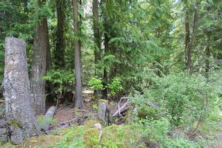 Photo 4: Lot 96 Crowfoot Drive in Anglemont: North Shuswap Land Only for sale (Shuswap)  : MLS®# 10158355