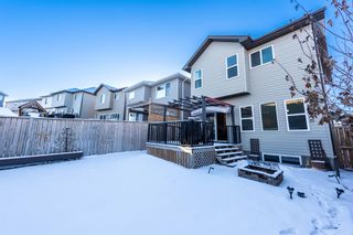 Photo 7: 20 Hillcrest Link SW: Airdrie Detached for sale : MLS®# A2020302