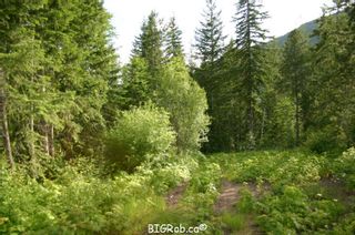 Photo 13: 190 SW Christison Road in Salmon Arm: Gleneden Vacant Land for sale : MLS®# 10118444
