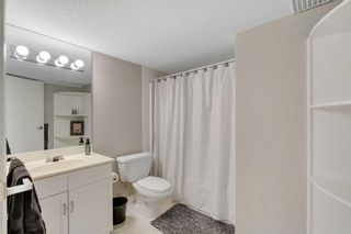 Photo 28: 313 Riverview Circle SE in Calgary: Riverbend Detached for sale : MLS®# A2127982
