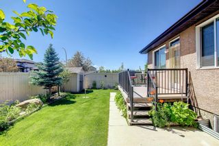 Photo 39: 167 Everbrook Way SW in Calgary: Evergreen Detached for sale : MLS®# A1233897