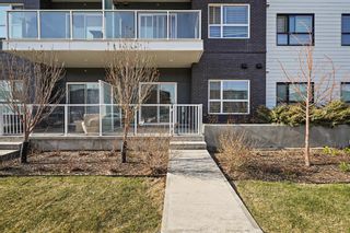 Photo 21: 117 4350 Seton Drive SE in Calgary: Seton Apartment for sale : MLS®# A2045115