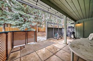 Photo 11: 518 10120 Brookpark Boulevard SW in Calgary: Braeside Apartment for sale : MLS®# A2128653
