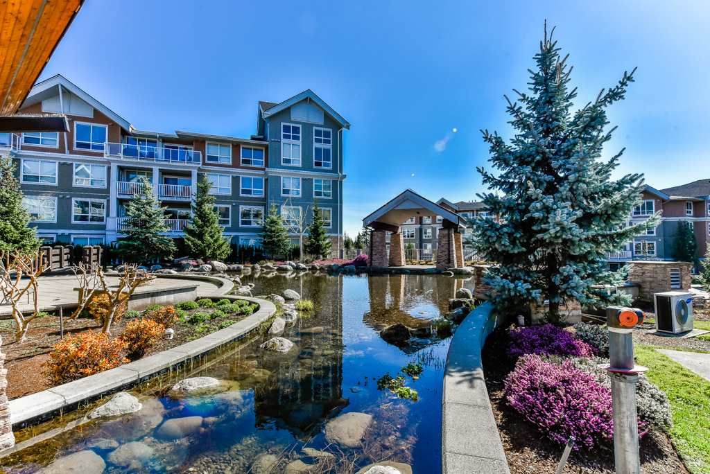 Main Photo: 111 6480 194 Street in Surrey: Clayton Condo for sale in "Waterstone" (Cloverdale)  : MLS®# R2369841