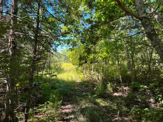 Photo 7: West River Station Road in Salt Springs: 108-Rural Pictou County Vacant Land for sale (Northern Region)  : MLS®# 202220521