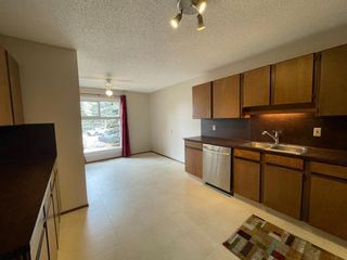 Photo 19: 20 & 22 Cedarwood Rise SW in Calgary: Cedarbrae Duplex for sale : MLS®# A1221120