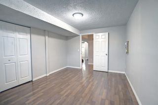 Photo 28: 3727 44 Avenue NE in Calgary: Whitehorn Detached for sale : MLS®# A1172903