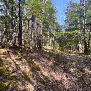 Photo 2: Lot 8 Old Trunk Highway 3 in Hebbs Cross: 405-Lunenburg County Vacant Land for sale (South Shore)  : MLS®# 202300313