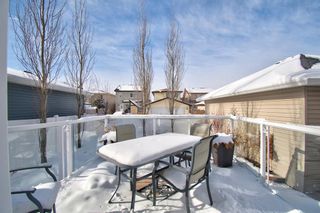Photo 39: 202 Williamstown Close NW: Airdrie Detached for sale : MLS®# A1070134
