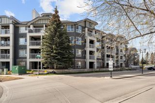Photo 41: 124 35 Richard Court SW in Calgary: Lincoln Park Apartment for sale : MLS®# A2050442
