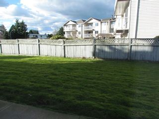 Photo 10: 103 33225 Old Yale Road in Abbotsford: Condo for rent