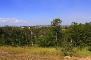 Photo 8: 90 Springborough Green SW in Calgary: Springbank Hill Residential Land for sale : MLS®# A1229697