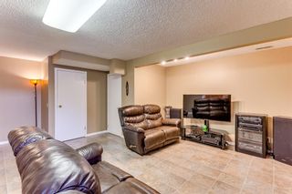 Photo 19: 132 McKinley Road SE in Calgary: McKenzie Lake Detached for sale : MLS®# A1176225