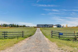 Photo 10: 365051 64 Street E: Rural Foothills County Detached for sale : MLS®# A2129090