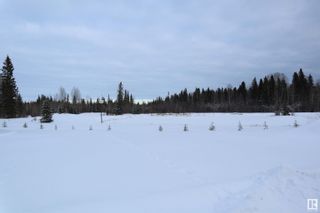 Photo 42: 75040 B & C TWP RD 451: Rural Wetaskiwin County House for sale : MLS®# E4323994