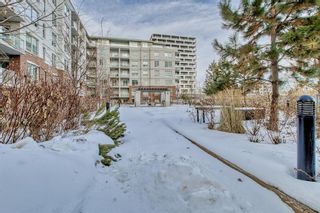 Photo 42: #610 46 9 Street NE in Calgary: Bridgeland/Riverside Apartment for sale : MLS®# A2016357