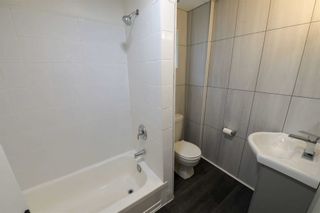 Photo 15: 1 136 Windermere Avenue in Toronto: High Park-Swansea House (Apartment) for lease (Toronto W01)  : MLS®# W5395831