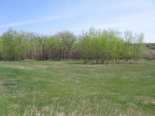 Photo 2: 79 57126 RGE RD 233: Rural Sturgeon County Rural Land/Vacant Lot for sale : MLS®# E4274202