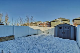 Photo 36: 64 Legacy Mews SE in Calgary: Legacy Semi Detached (Half Duplex) for sale : MLS®# A2012604
