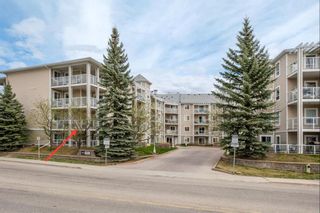 Photo 1: 201 260 Shawville Way SE in Calgary: Shawnessy Apartment for sale : MLS®# A2126304
