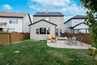 Photo 2: 537 Copperfield Boulevard SE in Calgary: Copperfield Detached for sale : MLS®# A1224979