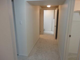 Photo 31: 31 Dovely Way SE in Calgary: Dover Detached for sale : MLS®# A2128771
